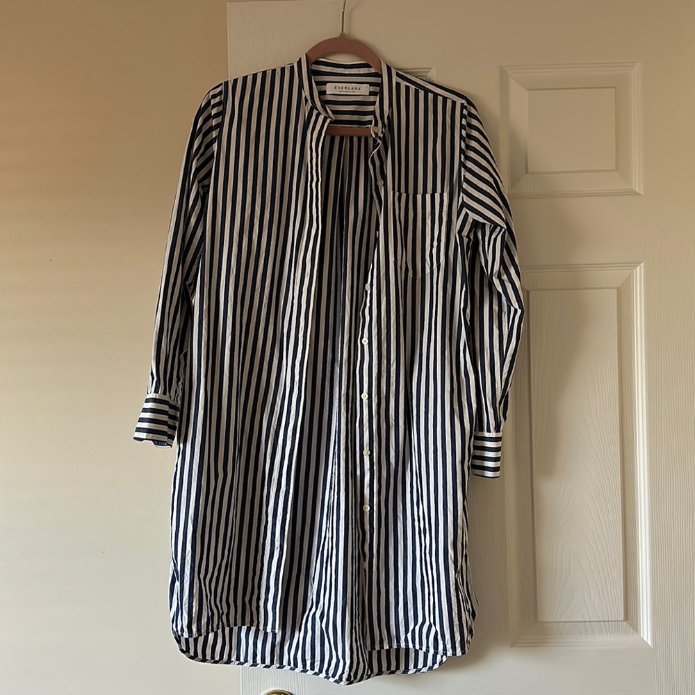 Everlane stripe button front dress 2
